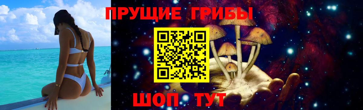 Кузнецк  Псилоцибиновые грибы мухоморы  Вход с VPN  Псилоцибиновые грибы GOLDEN TEACHER 